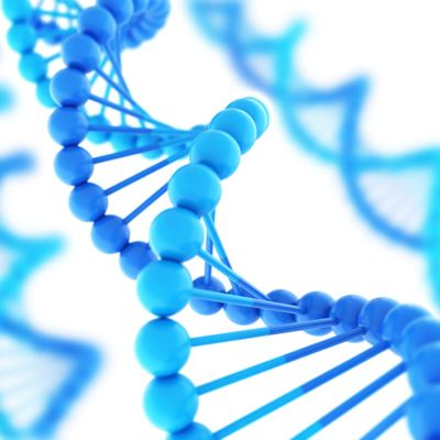 清远DNA基因测试和身体检查有什么区别？